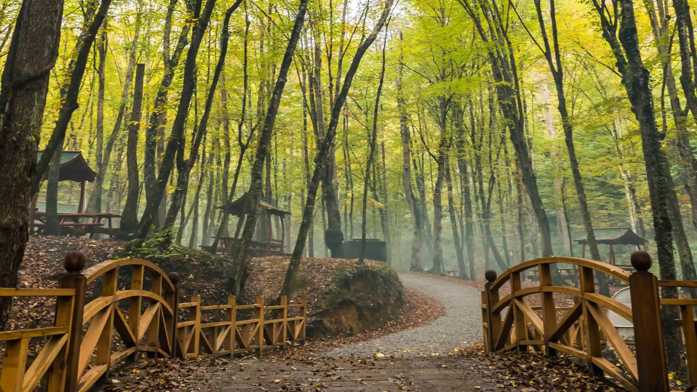 Belgrad Forest