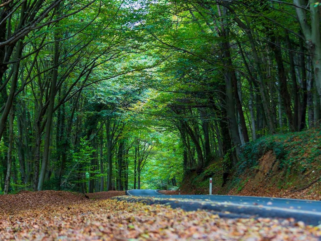 Çamlıca Hill
